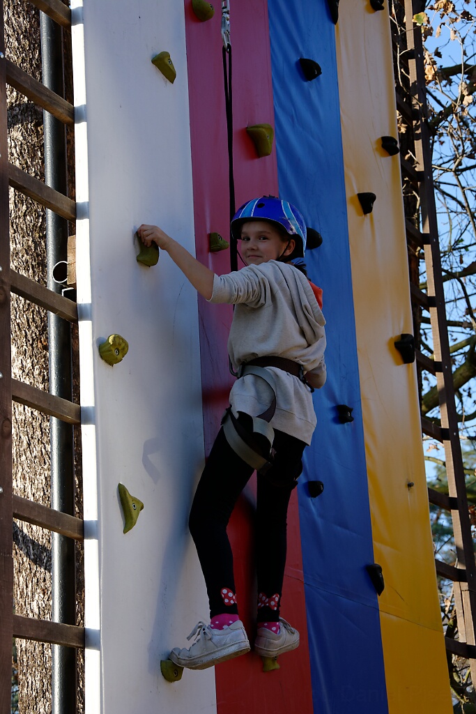 DSC 6050 KO