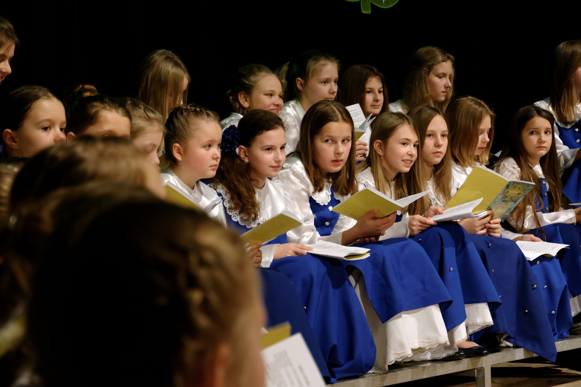 DSC 0497 DxO