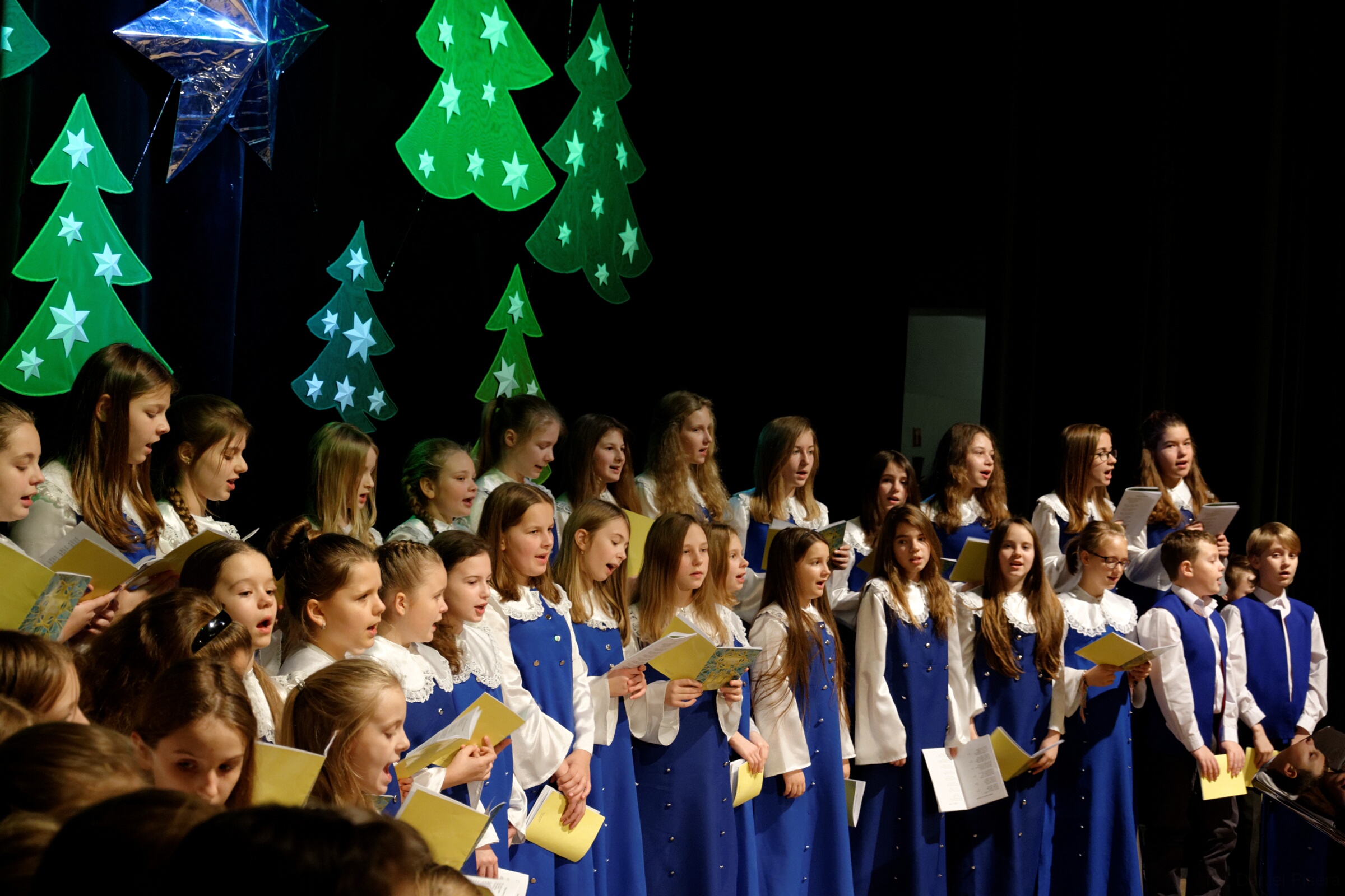 DSC 0527 DxO