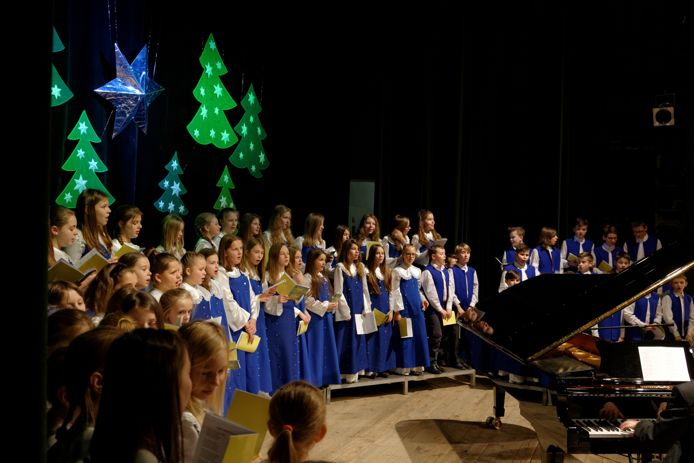 DSC 0528 DxO