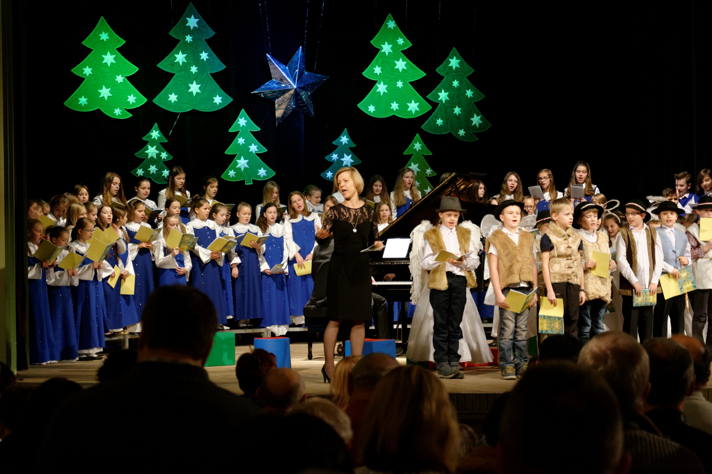 DSC 0530 DxO
