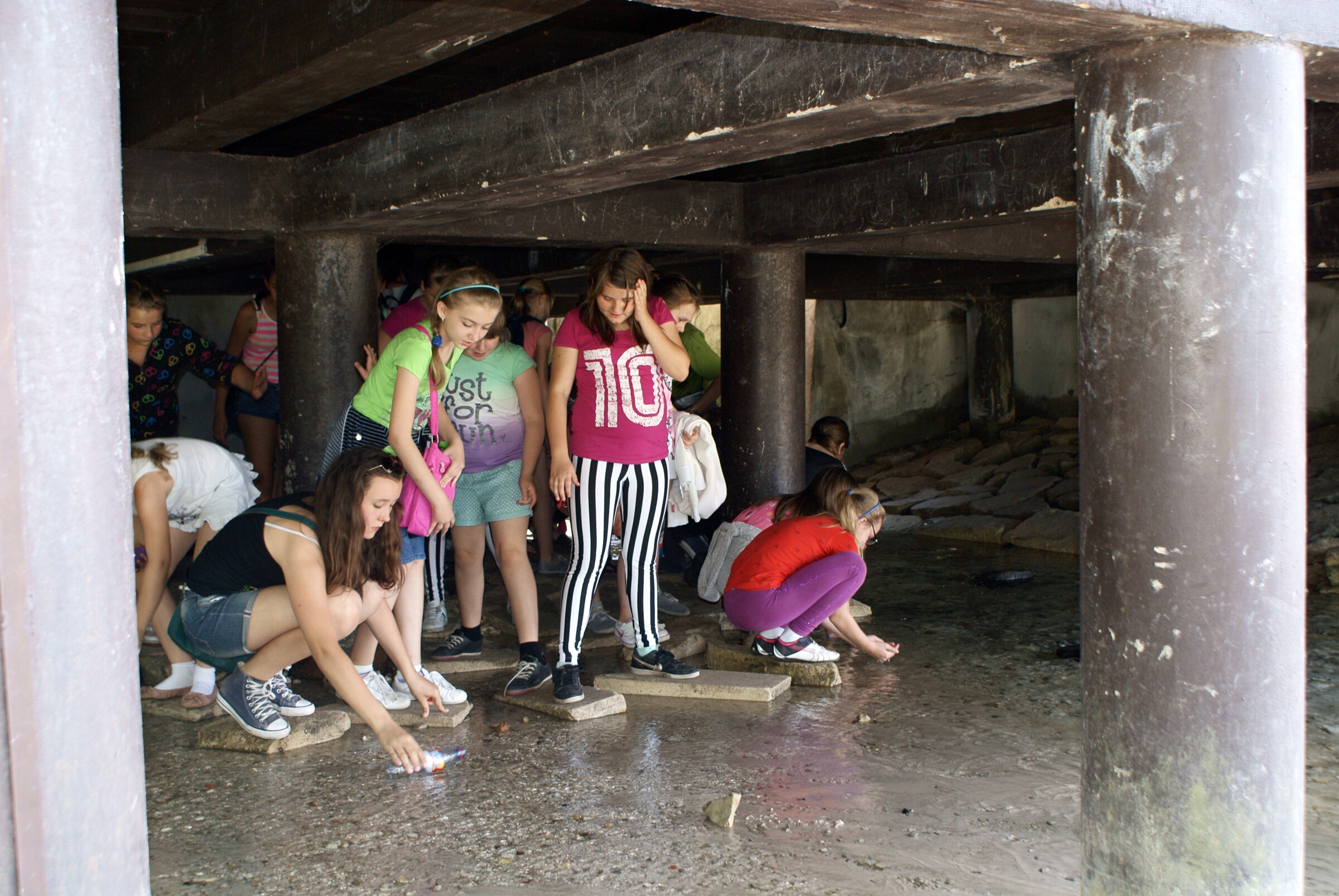 DSC05373