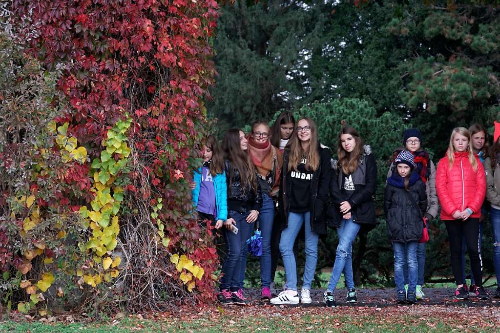 DSC 0955 DxO