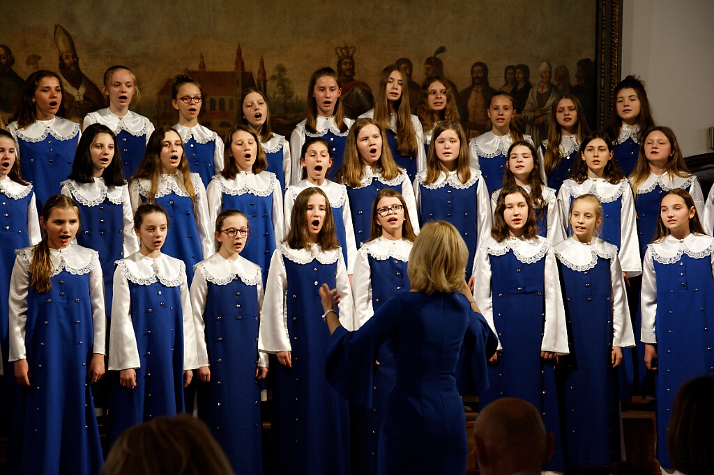 DSC 9682 DxO2