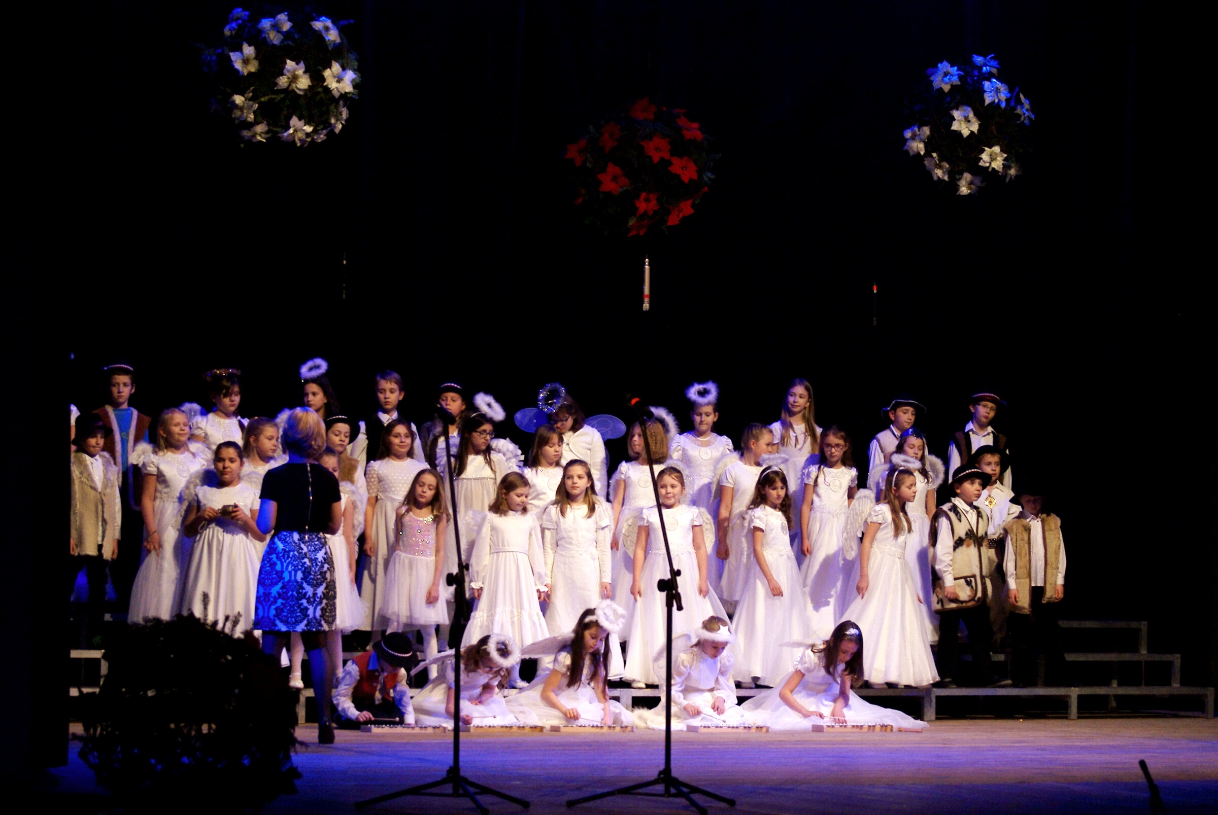 DSC08080