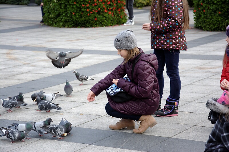 DSC 5817 DxO