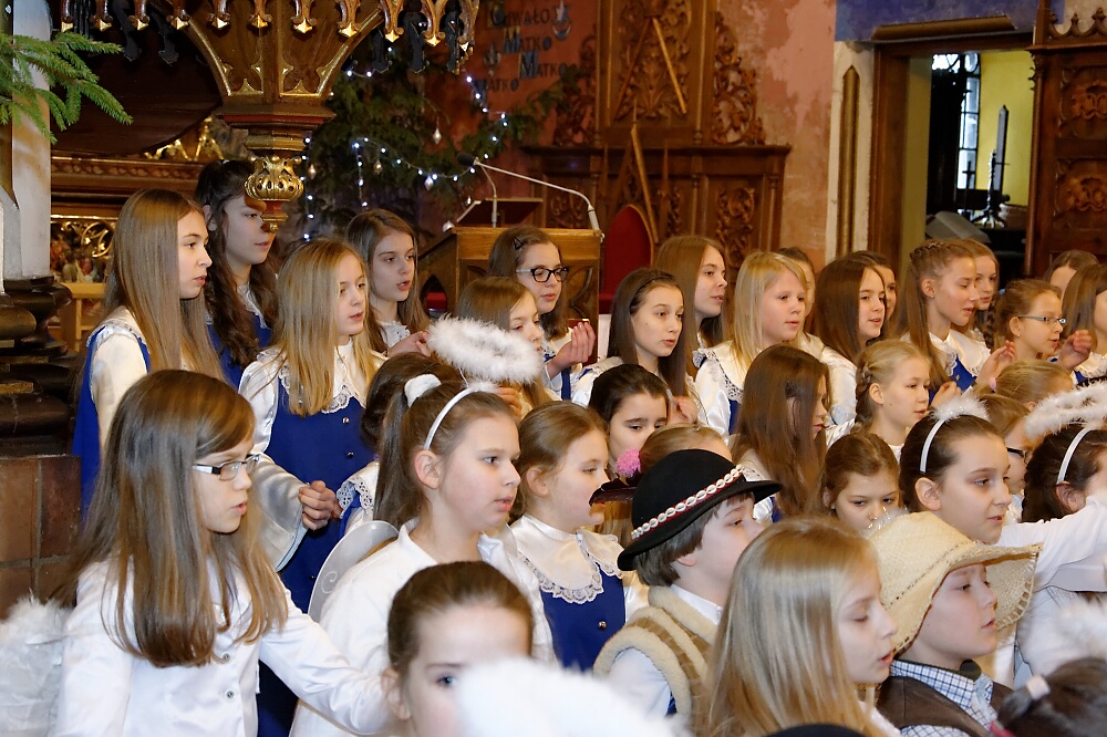 DSC 7064 DxO