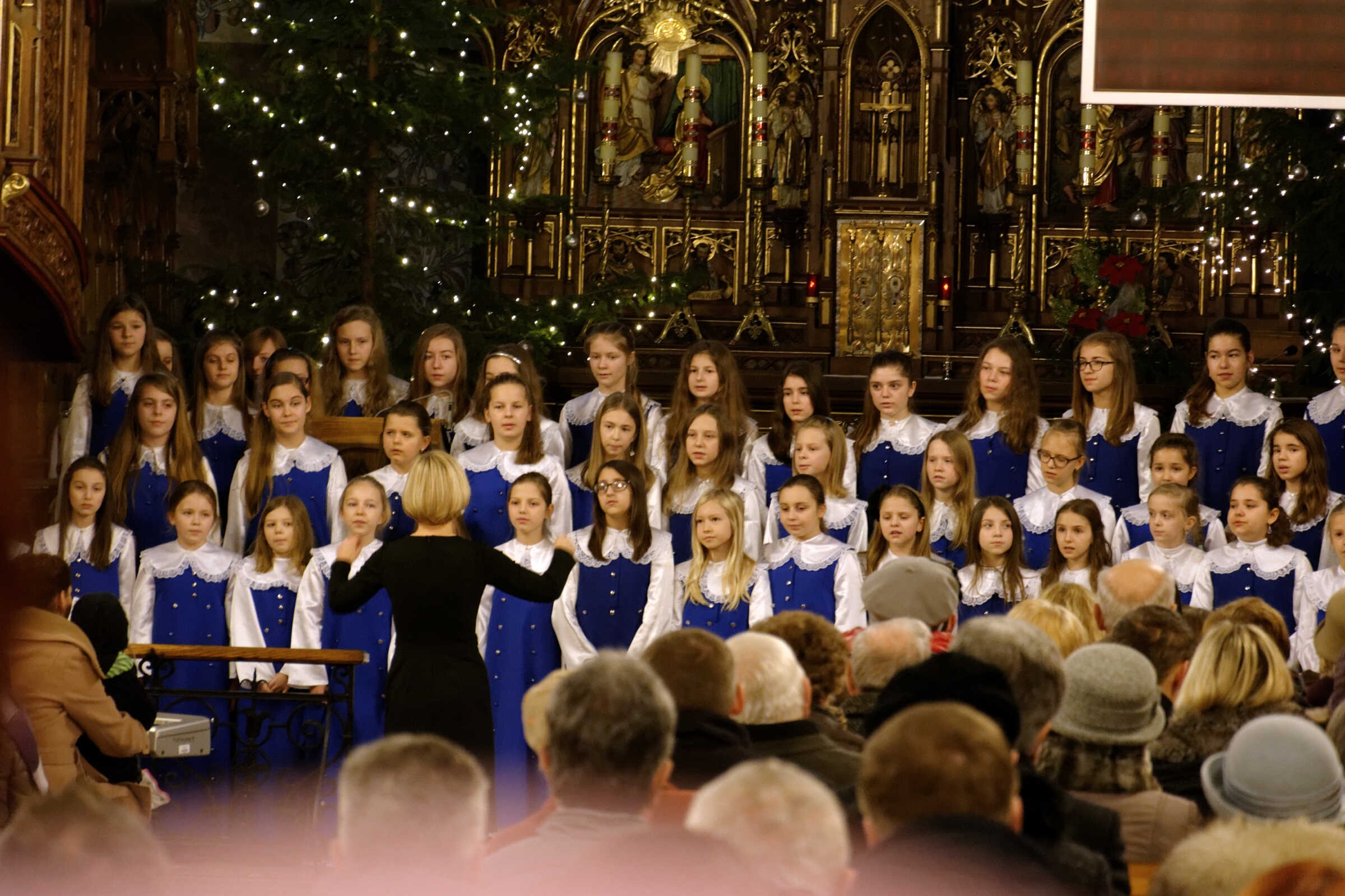 DSC 0969 DxO