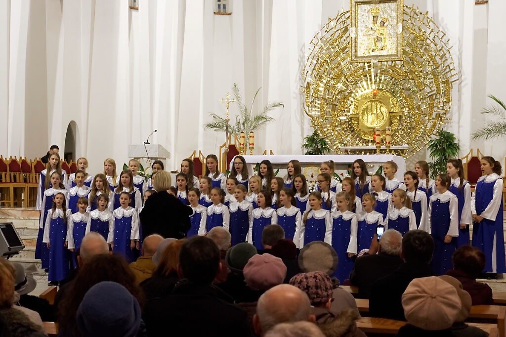 DSC 1819 DxO