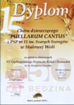 z8