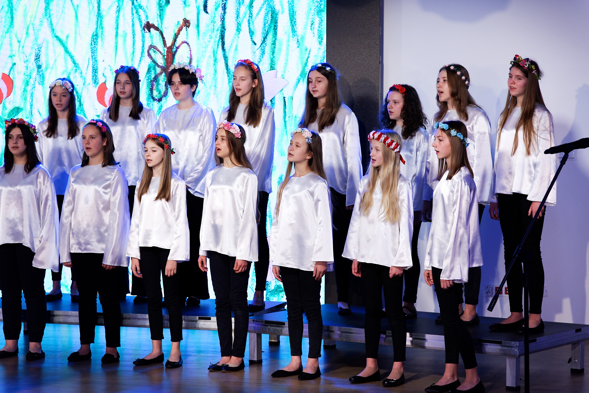 DSC 4355 DxO