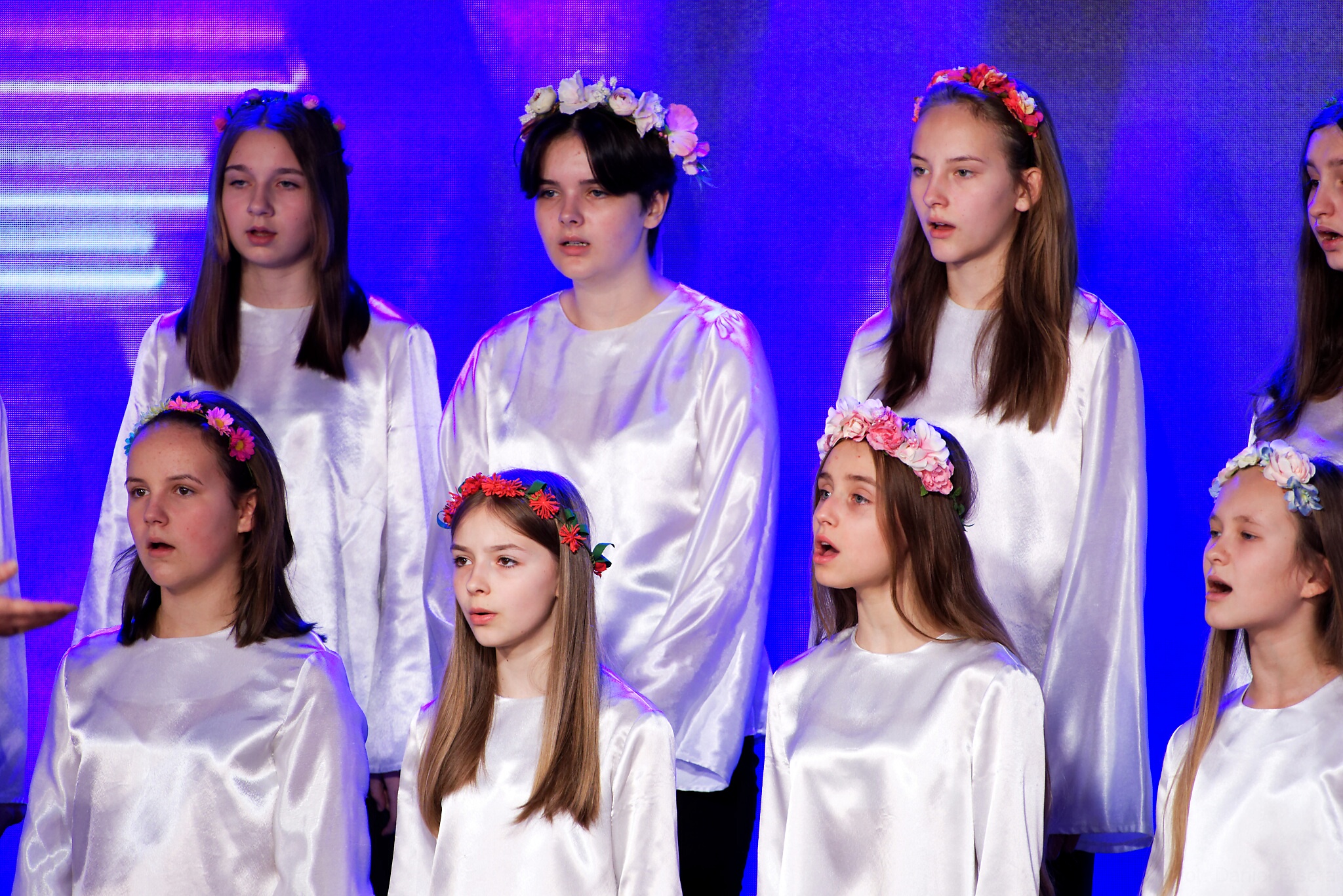 DSC 4384 DxO