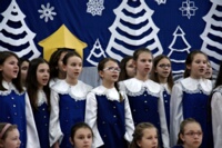 DSC 8222 DxO