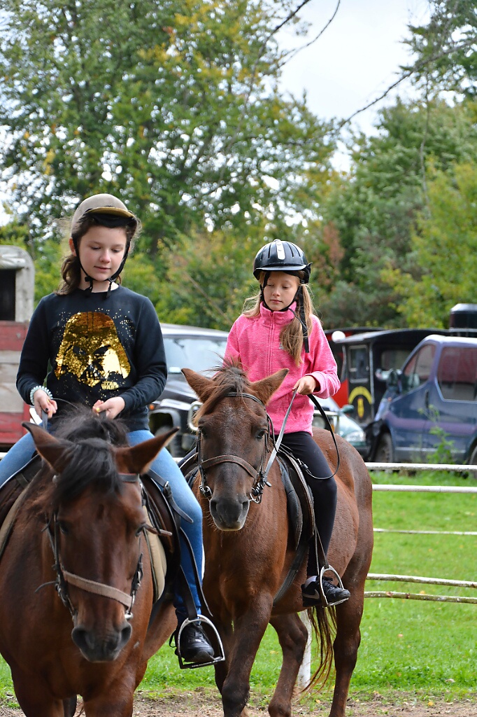 DSC 2641 DxO2