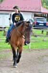 DSC 2761 DxO2