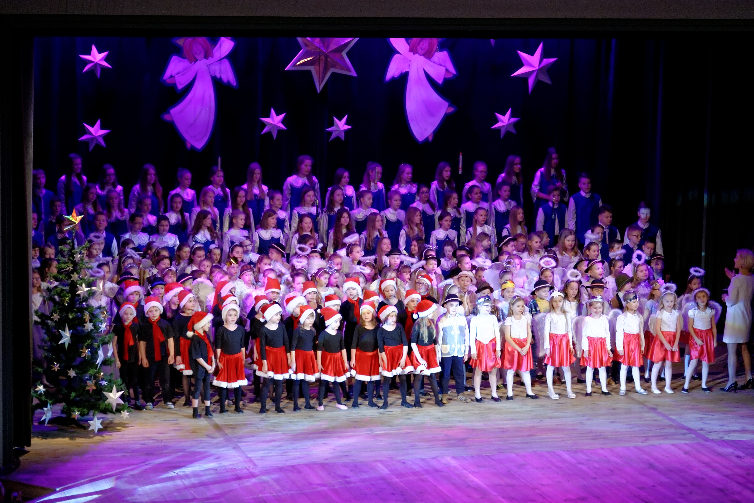 DSC 7081 DxO