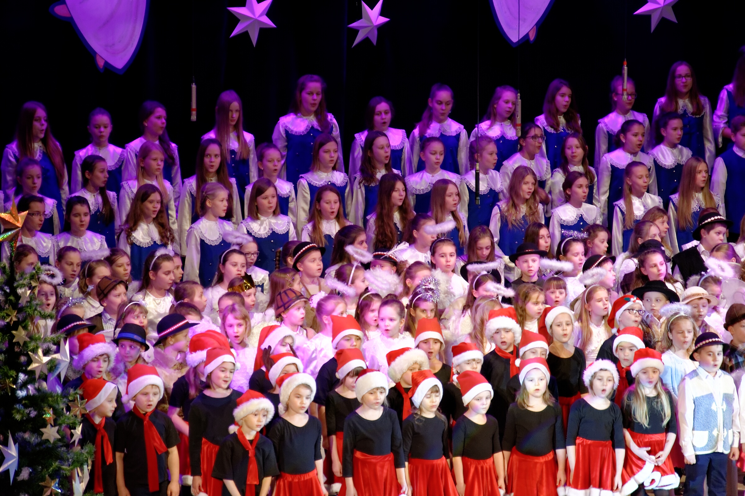 DSC 7083 DxO