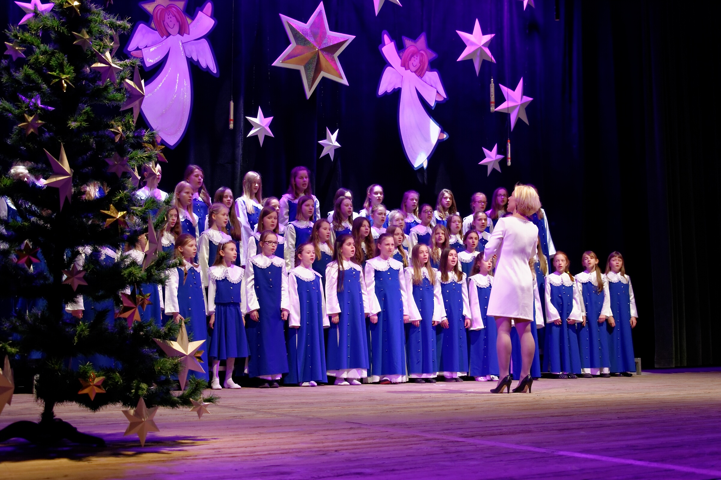 DSC 7151 DxO