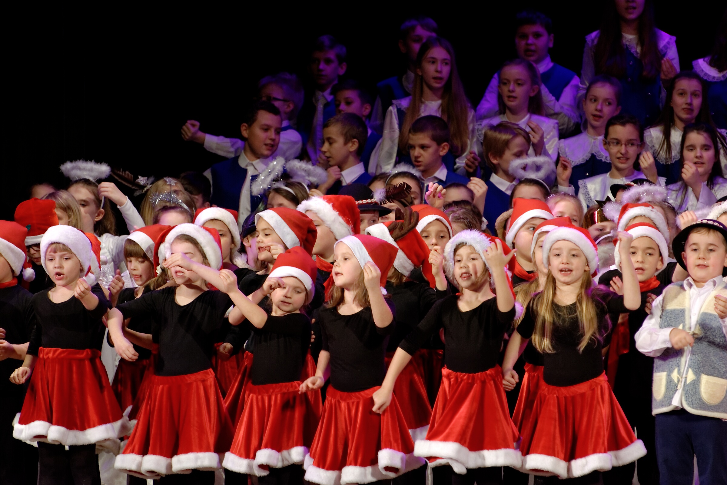 DSC 7731 DxO