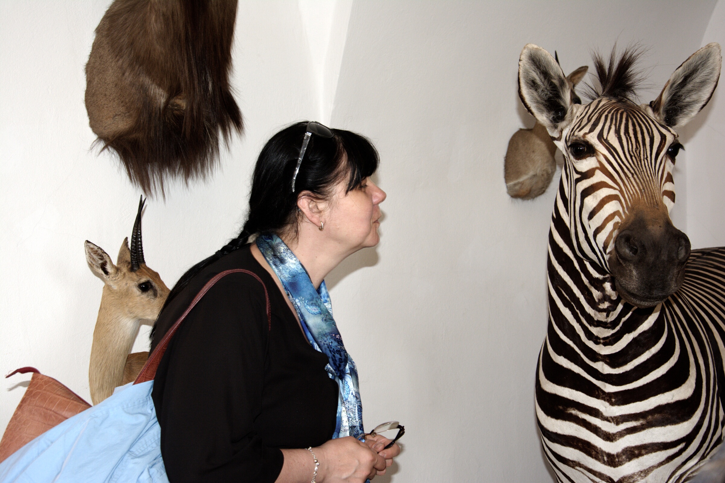 DSC 1630 DxO