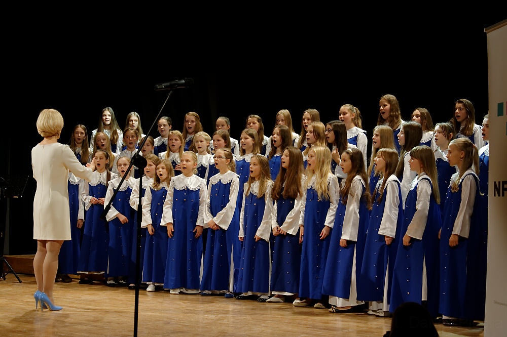 DSC 6095 DxO