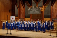 DSC 4533 DxO