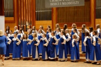 DSC 4546 KO