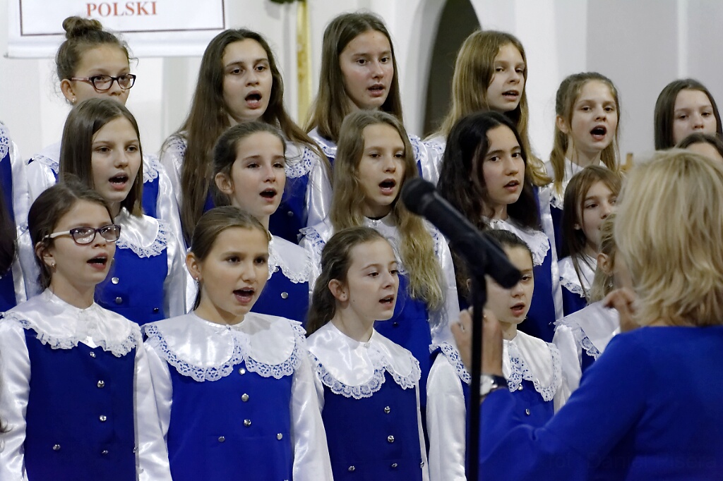 DSC 7036 DxO