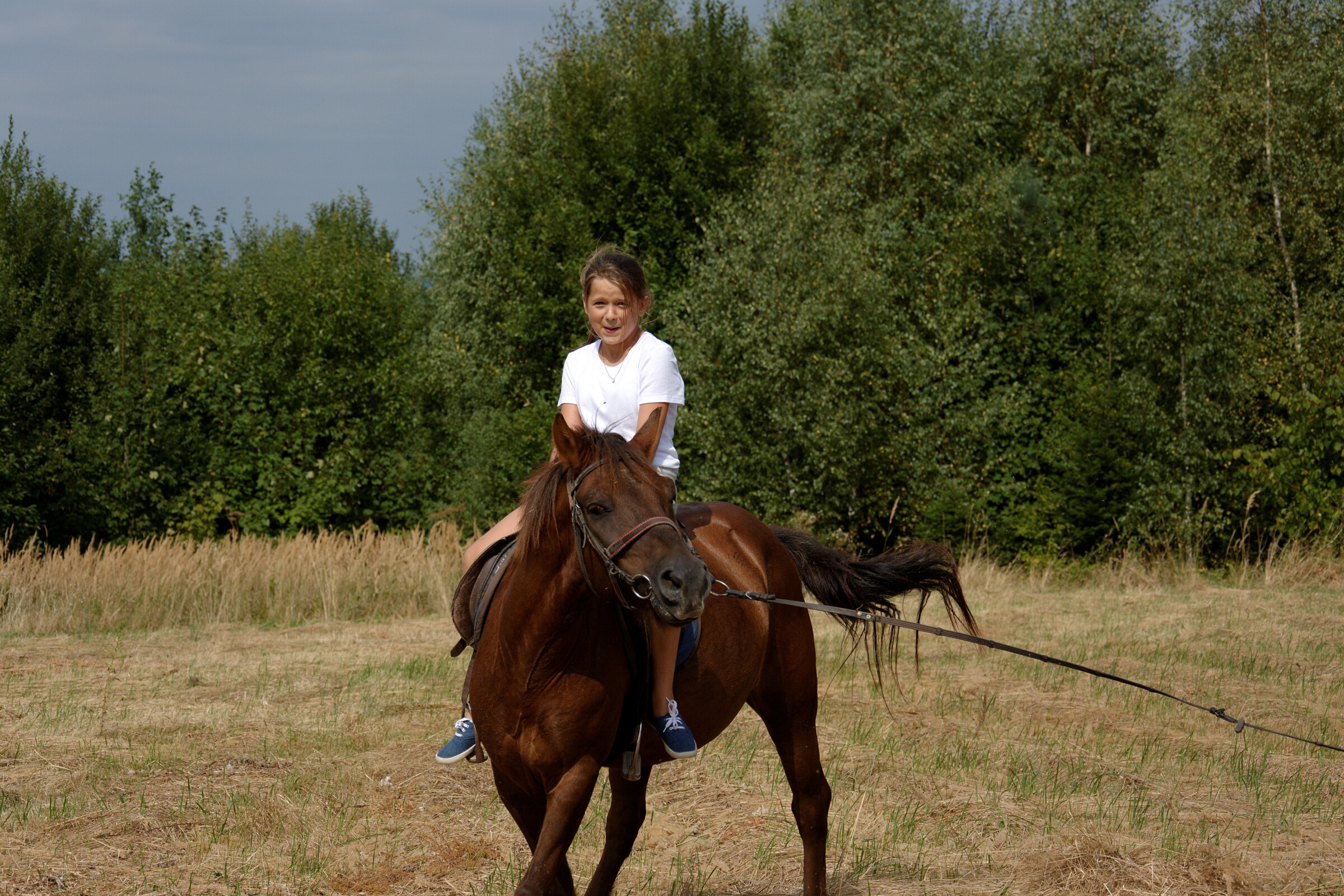 DSC 4611 DxO