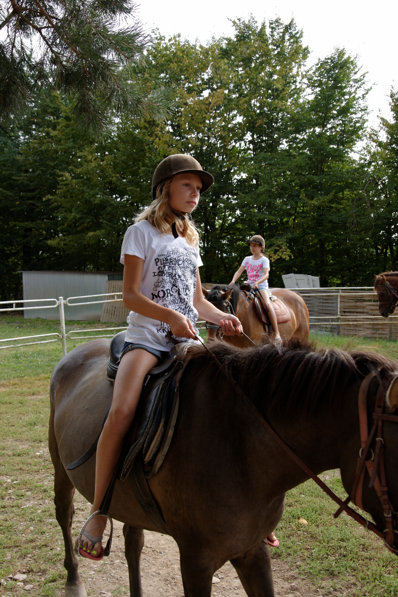 DSC 4684 DxO
