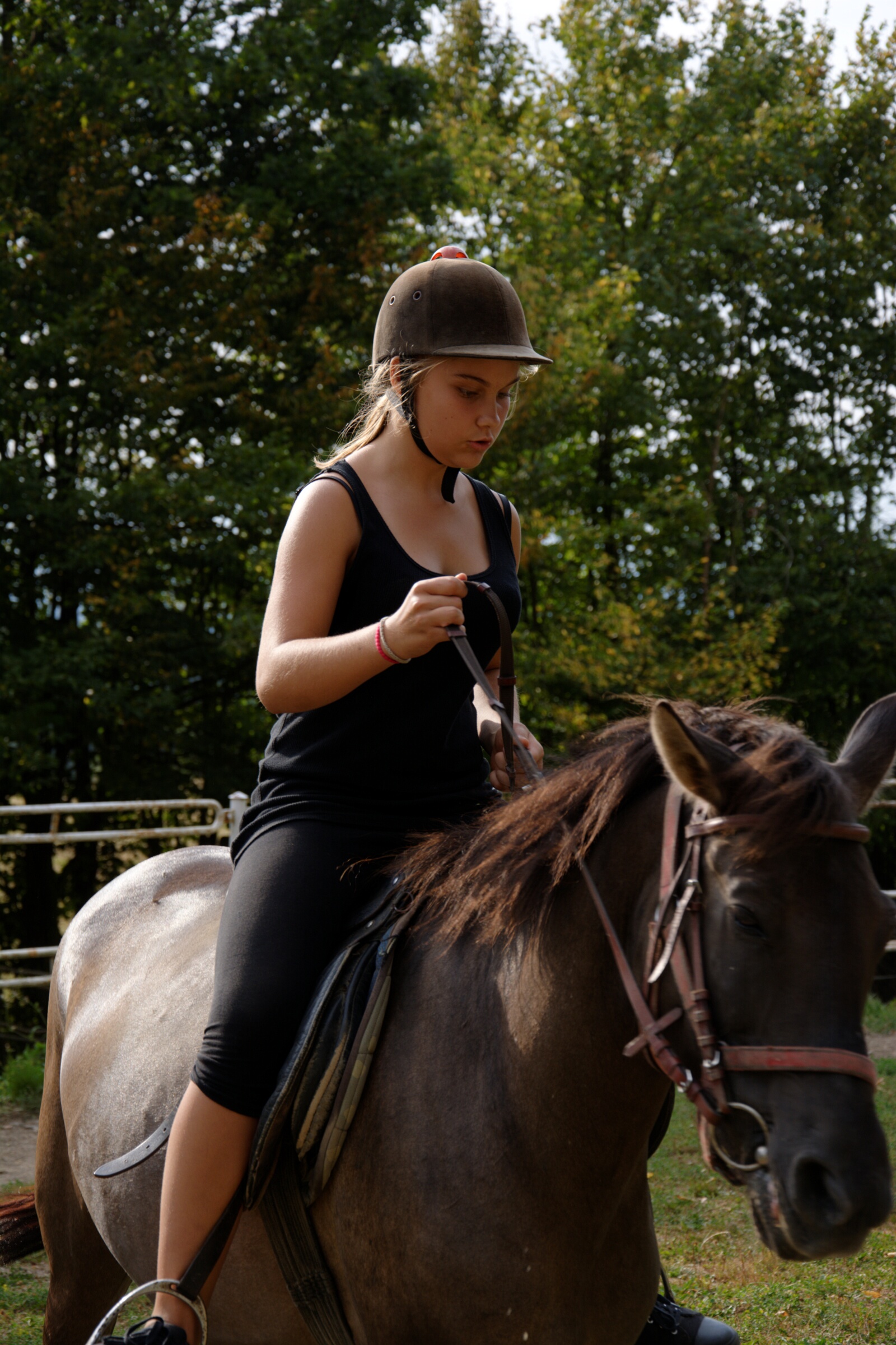 DSC 4693 DxO