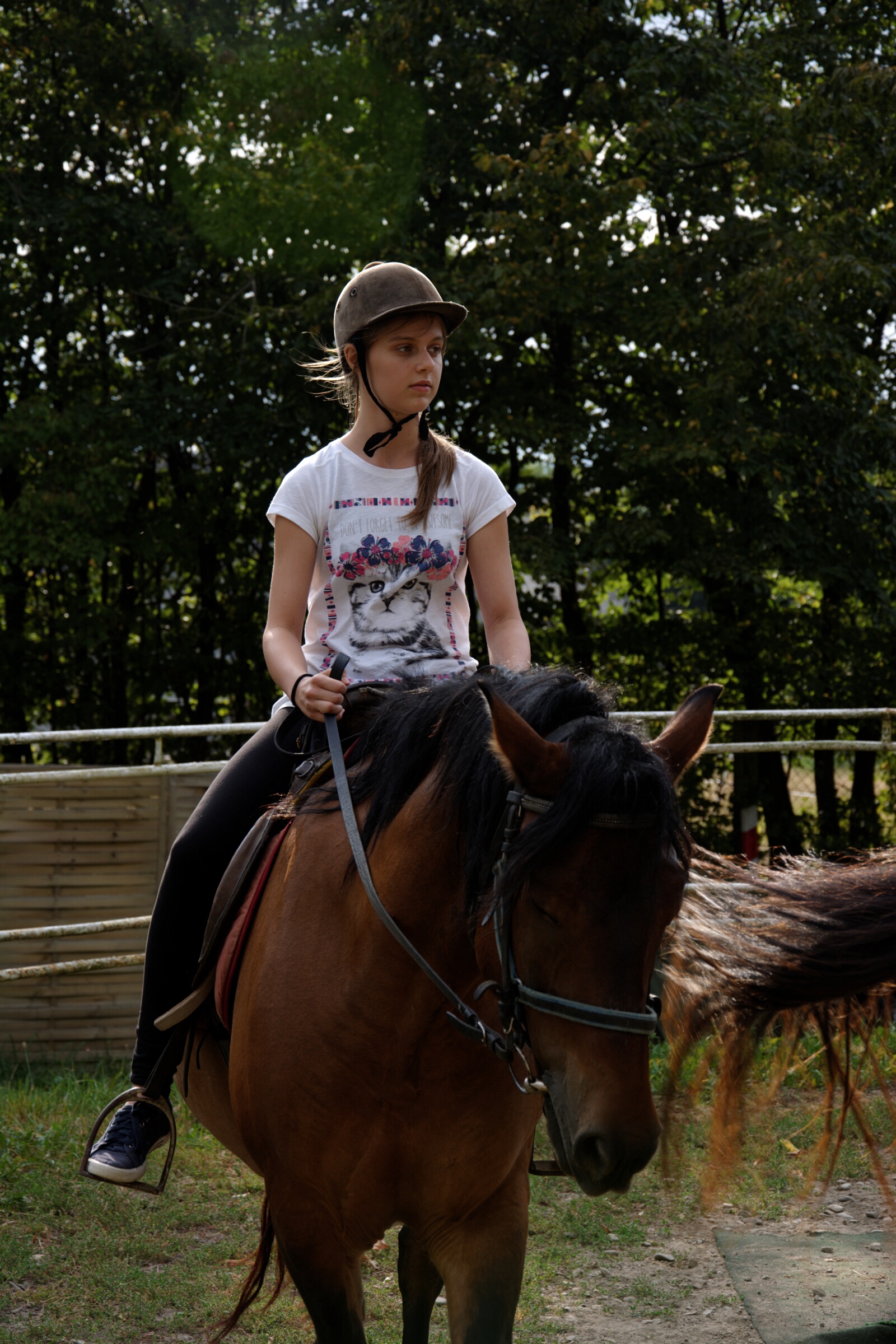 DSC 4695 DxO