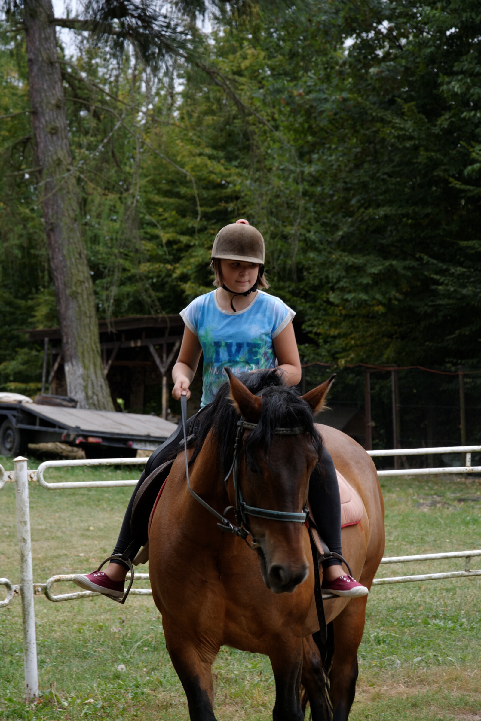 DSC 4711 DxO