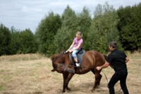 DSC 4615 DxO