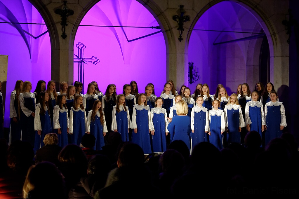 DSC 7809 DxO2