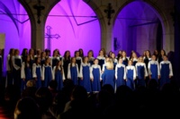DSC 7809 DxO2