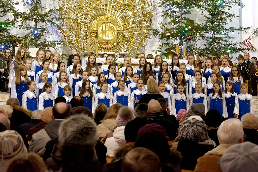  DSC2278 DxO