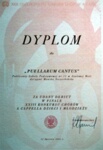 dyp7